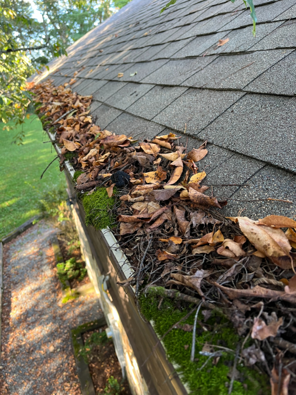 Gutter Cleaning Boone, North Carolina